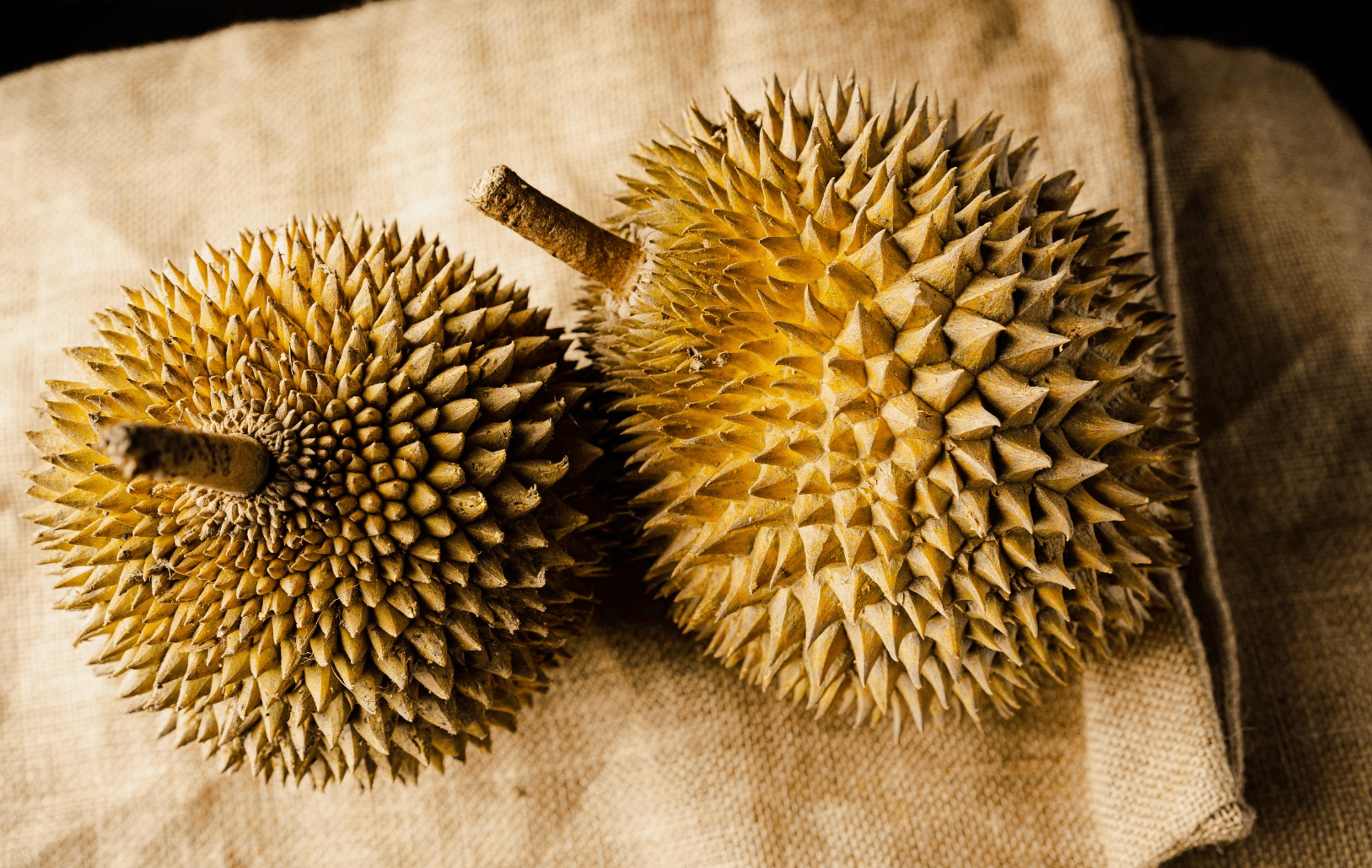 453-bentong-durian---mao-shan-wang---msw-background-16284161363259.png