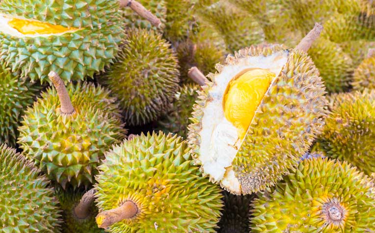 Myth about Durian